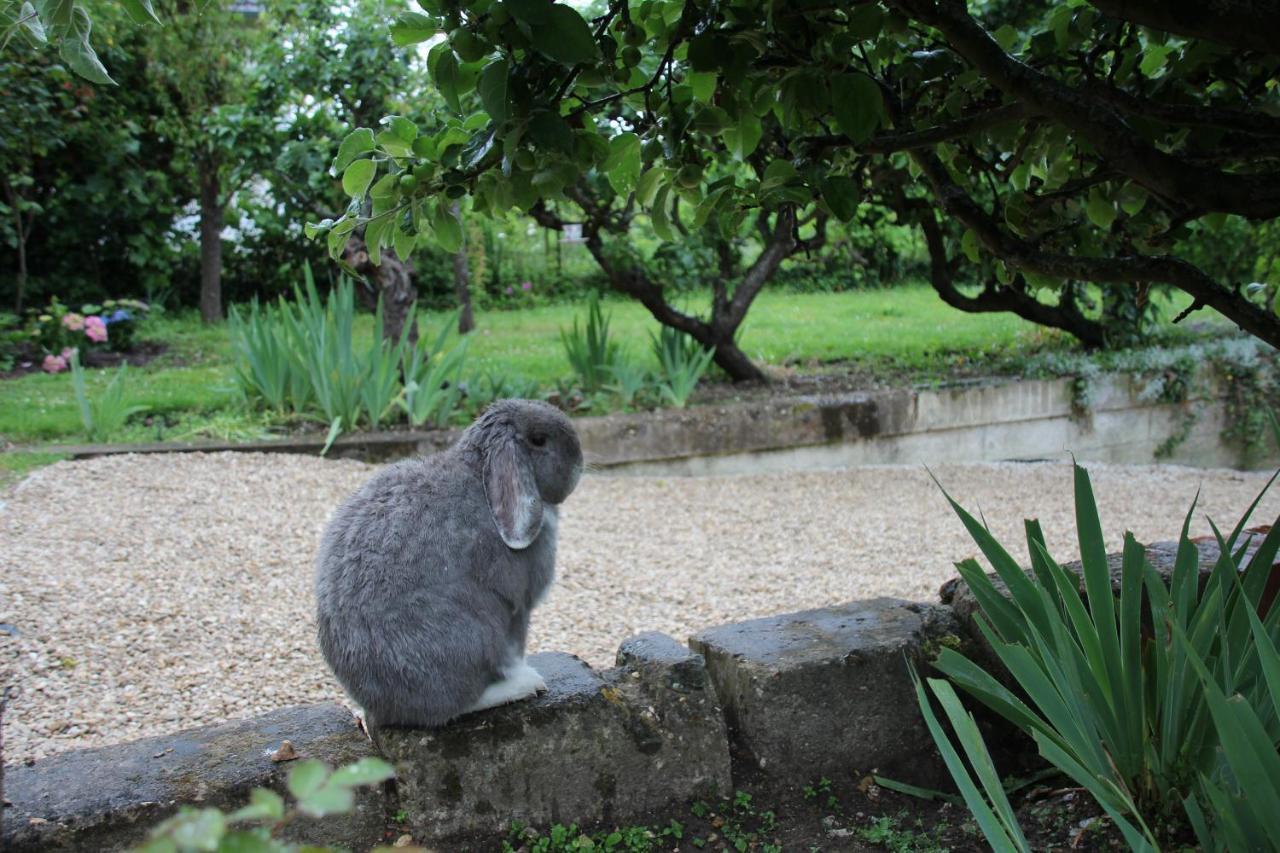 Bed and Breakfast Belle Vue Terrasse Giverny Exterior foto